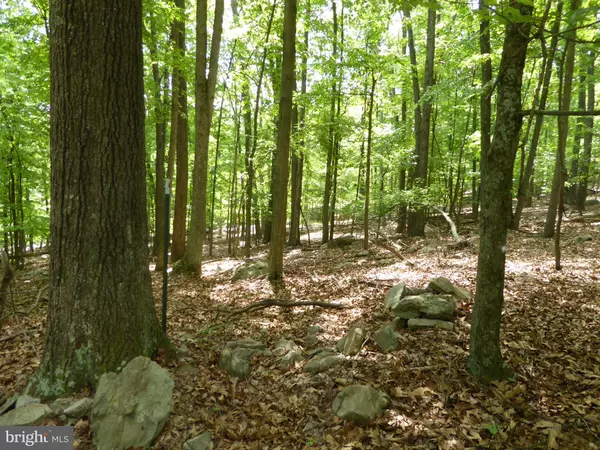 Paw Paw, WV 25434,LOT 39 WILD APPLE LN