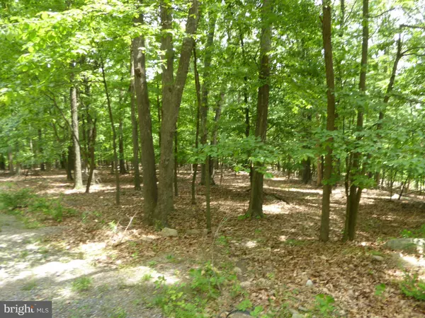 Paw Paw, WV 25434,LOT 39 WILD APPLE LN