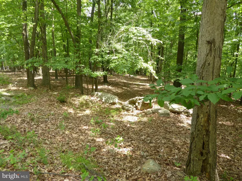 LOT 39 WILD APPLE LN, Paw Paw, WV 25434