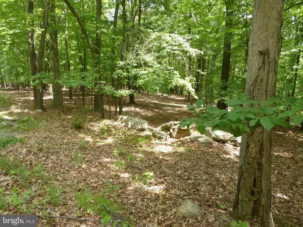 LOT 39 WILD APPLE LN,  Paw Paw,  WV 25434