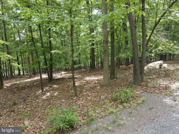 Paw Paw, WV 25434,LOT 39 WILD APPLE LN