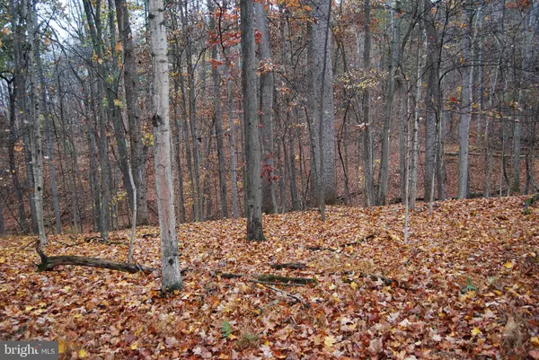 Berkeley Springs, WV 25411,LOT 12 TALL PINES LN