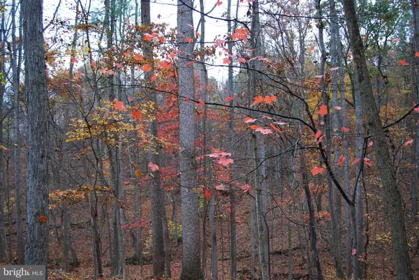 Berkeley Springs, WV 25411,LOT 12 TALL PINES LN