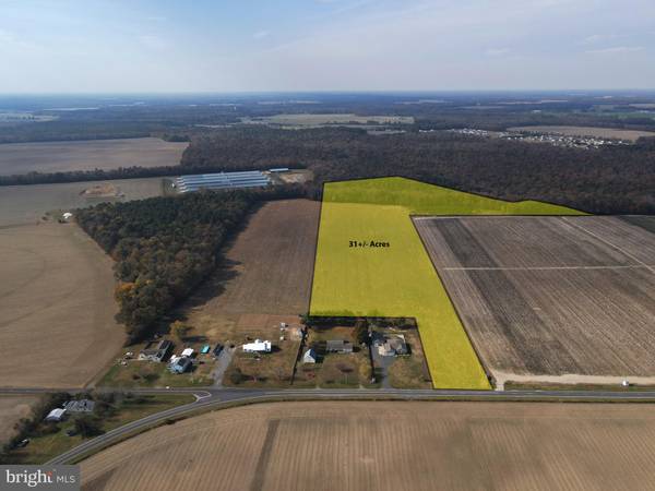 31 ACRES CLENDANIEL POND, Lincoln, DE 19960