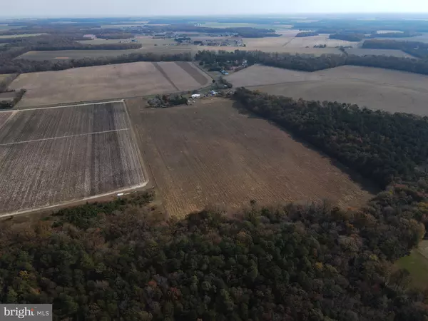 Lincoln, DE 19960,31 ACRES CLENDANIEL POND