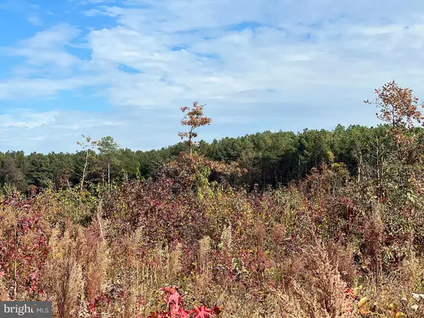 Laurel, DE 19956,COUNTY SEAT HIGHWAY