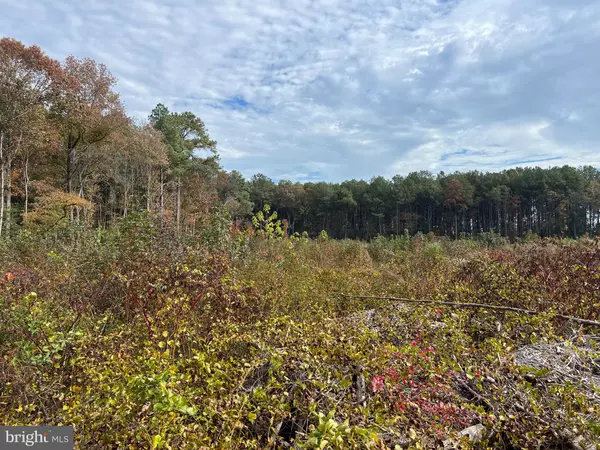 Laurel, DE 19956,COUNTY SEAT HIGHWAY