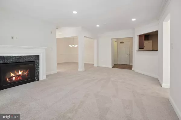 Fairfax, VA 22031,2905 SAINTSBURY PLAZA #117