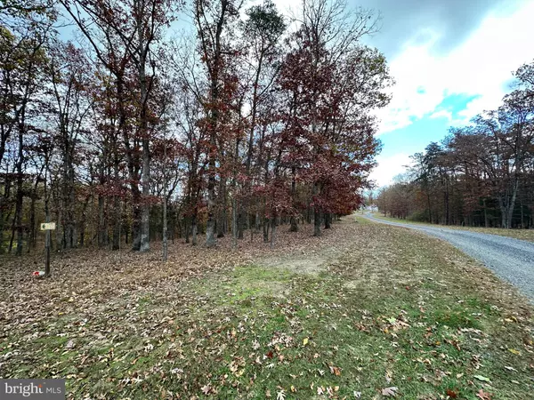 Keyser, WV 26726,LOT 19 SHARONS WAY