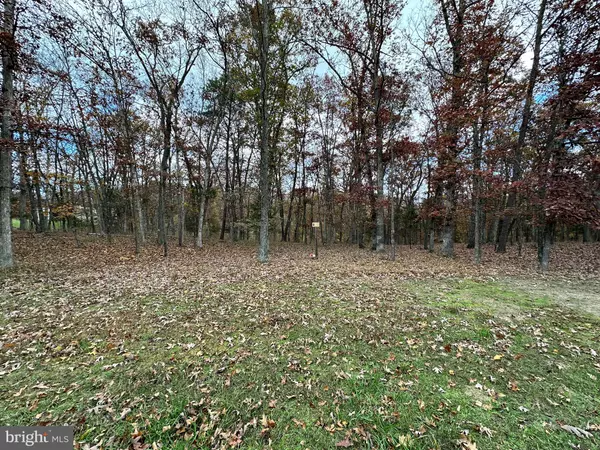 Keyser, WV 26726,LOT 19 SHARONS WAY