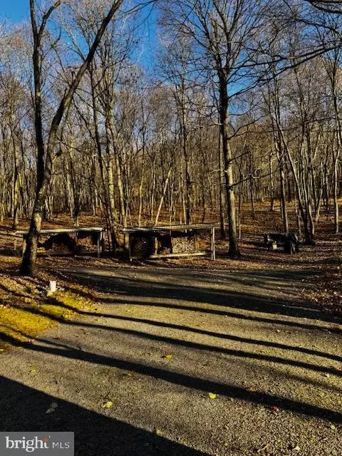 Buffalo Mills, PA 15534,Address not disclosed