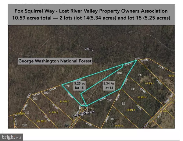 Lost City, WV 26810,10.59 ACRES (2 LOTS) FOX SQUIRREL WAY