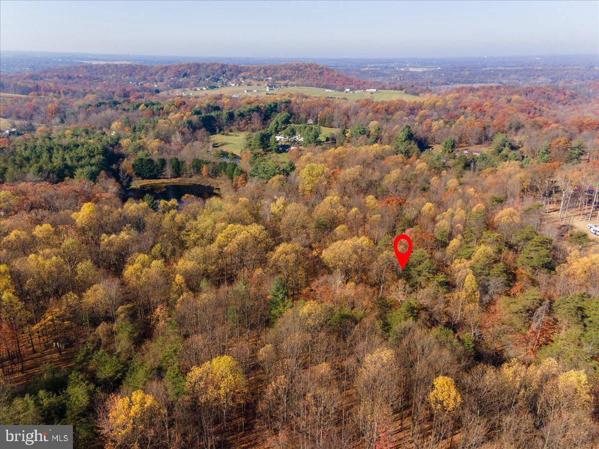 Sharpsburg, MD 21782,CHESTNUT GROVE RD