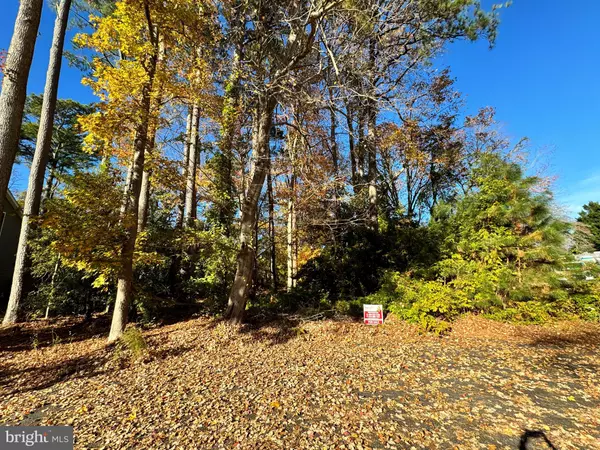 Ocean View, DE 19970,LOT #10 WOODED WAY