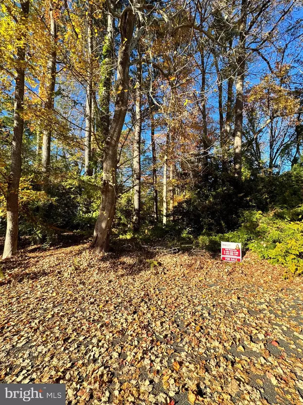 Ocean View, DE 19970,LOT #10 WOODED WAY