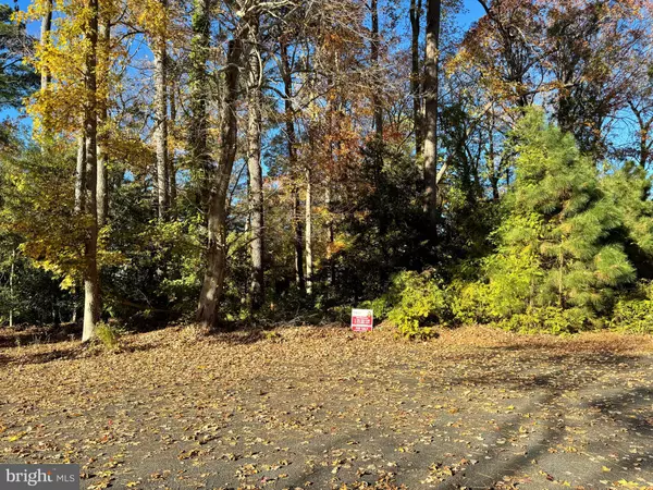 Ocean View, DE 19970,LOT #10 WOODED WAY