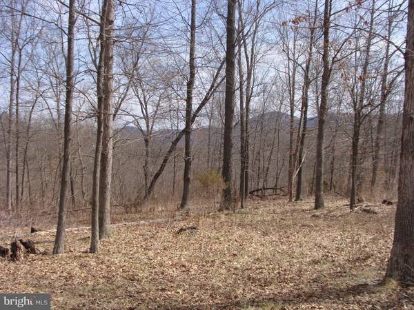 22 HICKORY LOOP DRIVE, Old Fields, WV 26845