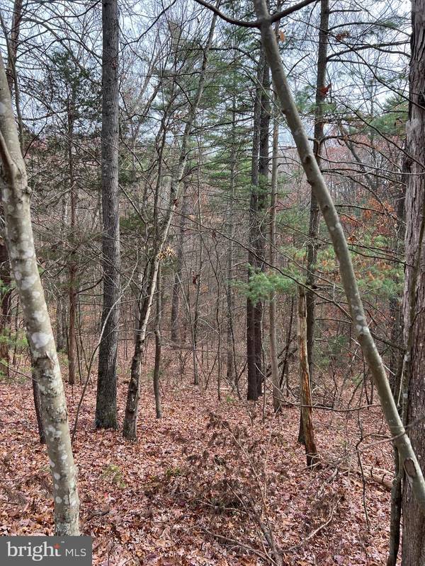 LOT 70 ALPINE WAY N, Mount Jackson, VA 22842