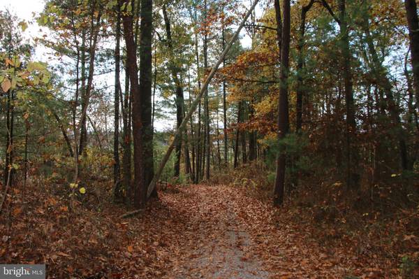 Luray, VA 22835,DRY RUN RD