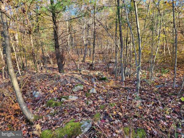 Burnt Cabins, PA 17215,1657 NINEMILE RUN RD