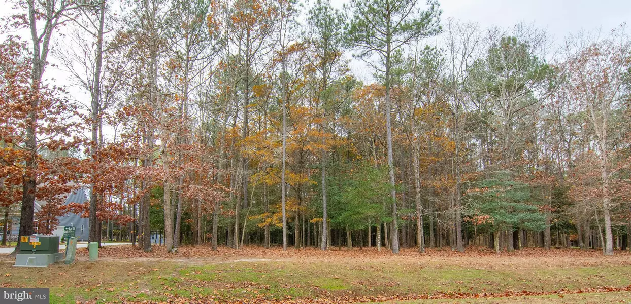 LOT 97 OLDE MILL LN, New Church, VA 23415