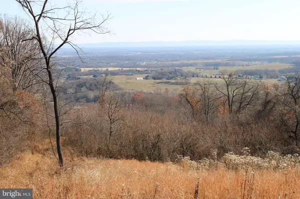 Martinsburg, WV 25403,21.66 ACRES OFF TRINITY CHURCH RD & REELBIRCH