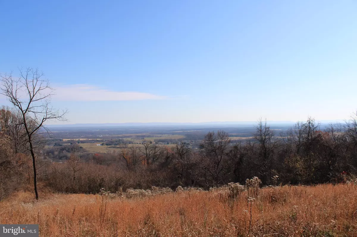 Martinsburg, WV 25403,21.66 ACRES OFF TRINITY CHURCH RD & REELBIRCH