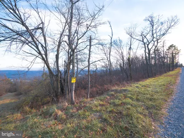 Winchester, VA 22602,LOT 112 ROCKWOOD TRL