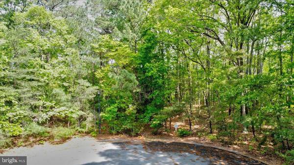 LOT 12 MALLARD DR,  Dagsboro,  DE 19939