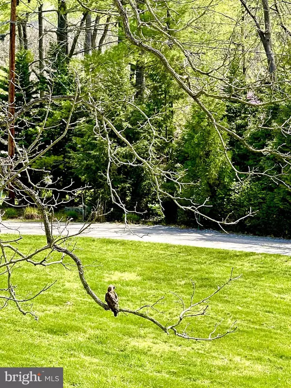 Shepherdstown, WV 25443,HEATHER LANE