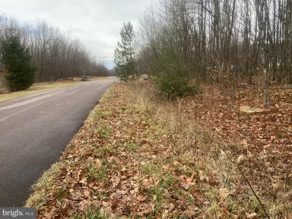 Grantsville, MD 21536,LOT 39 WESTVIEW XING