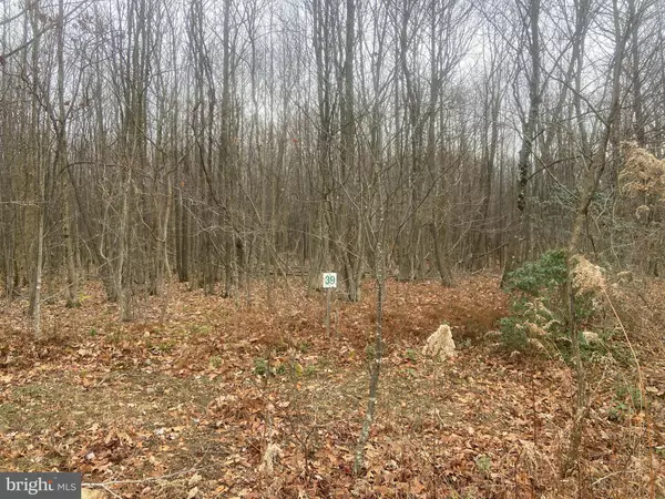 Grantsville, MD 21536,LOT 39 WESTVIEW XING