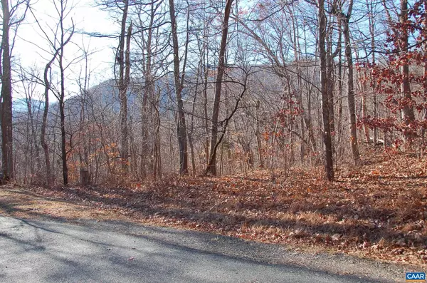 Nellysford, VA 22958,60 SCARLET TANAGER