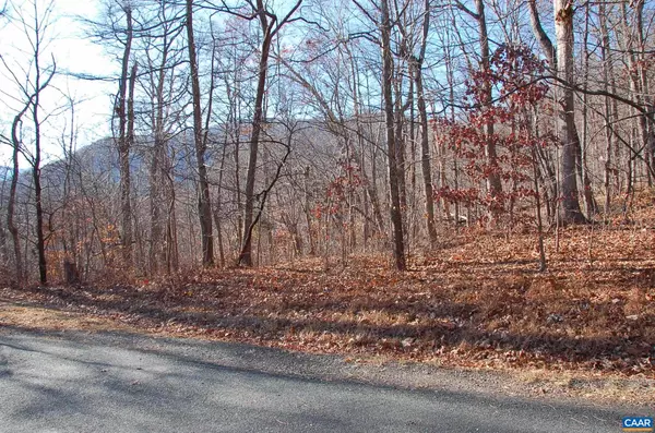 Nellysford, VA 22958,60 SCARLET TANAGER