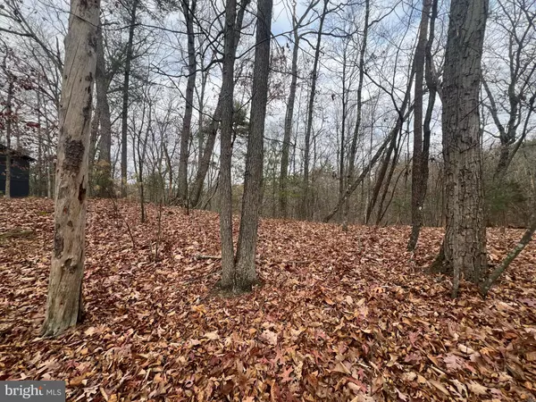 Basye, VA 22810,0 BRAWLEY