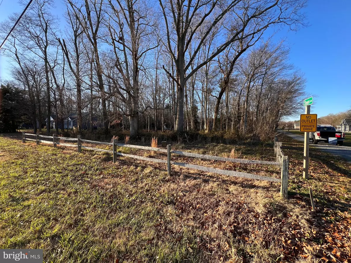 Dagsboro, DE 19939,LOT 1 N PINEY NECK RD