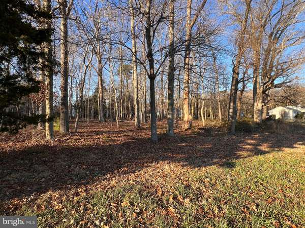 Dagsboro, DE 19939,LOT 1 N PINEY NECK RD