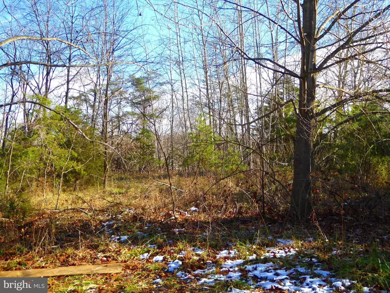 LOT 15 WOODLAND MOUNTAIN TRL, Augusta, WV 26704