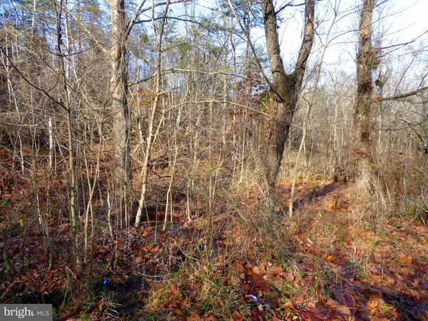 Augusta, WV 26704,LOT 15 WOODLAND MOUNTAIN TRL