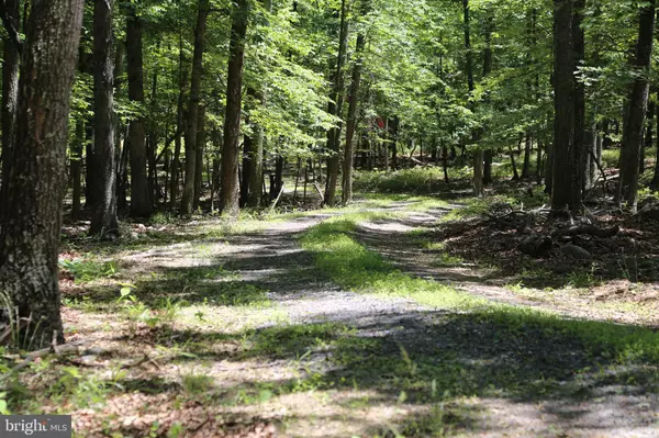 Wardensville, WV 26851,LOST RIVER RIDGE CIR #LOT 11