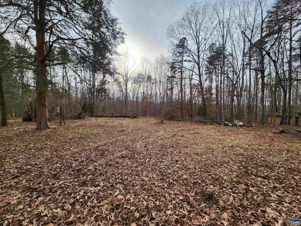 Louisa, VA 23093,LOT 1 WALNUT SHADE RD