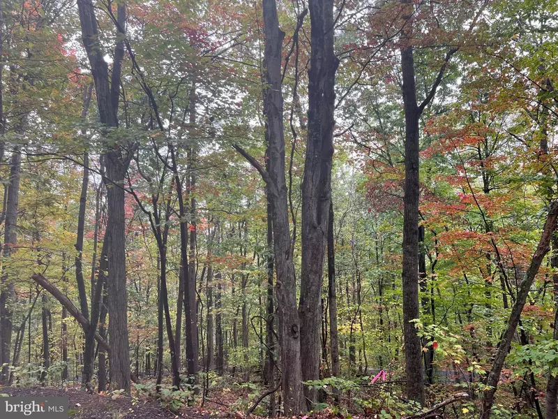 DALE LOT 18, Basye, VA 22810