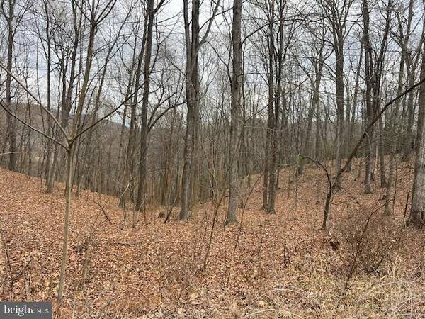 LOT 9, 10, 11, 26, 28, 36 CUBBY HOLE LANE, Berkeley Springs, WV 25411