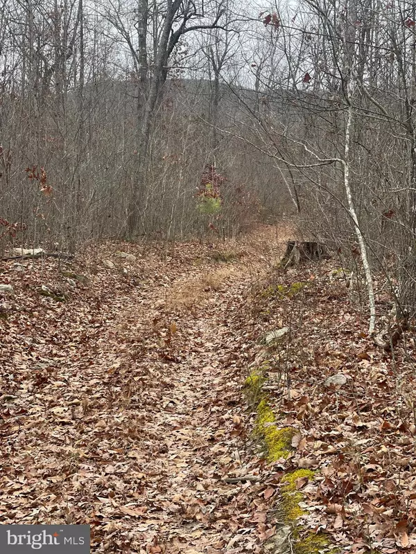 Edinburg, VA 22824,0 FOX RUN LN