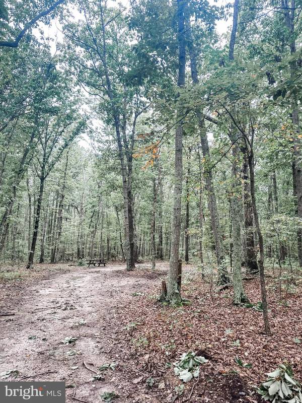 LOT 97A INDEPENDENCE, Unionville, VA 22567