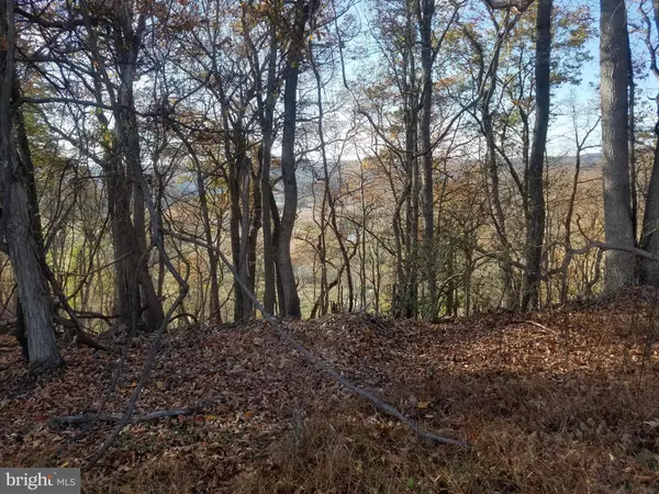 Romney, WV 26757,CRYSTAL MOUNTAIN VIEW LN
