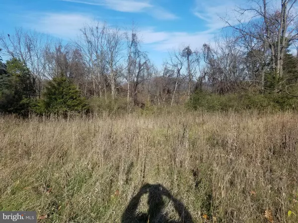 Romney, WV 26757,CRYSTAL MOUNTAIN VIEW LN