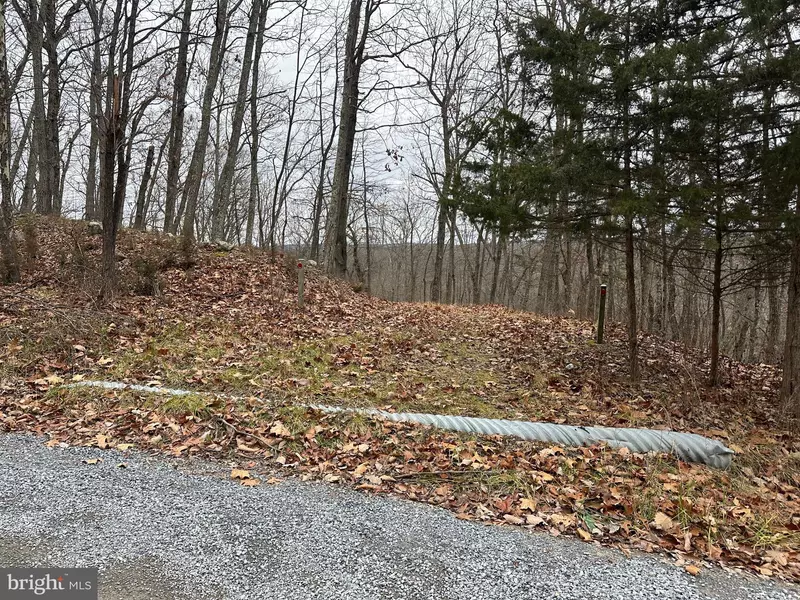 LOT #4 SYCAMORE DR, Capon Bridge, WV 26711