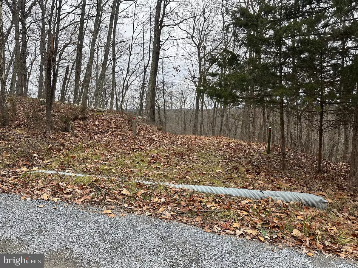 Capon Bridge, WV 26711,LOT #4 SYCAMORE DR