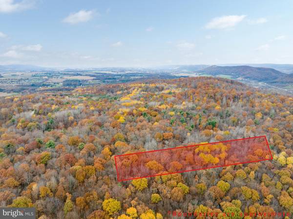 Bellefonte, PA 16823,LOT OFF HUNTER RIDGE ROAD